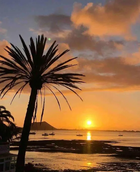 Corralejo Home Beach & Center 0*,